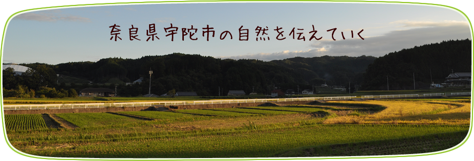 奈良県宇陀市の自然を伝えていく